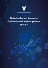 In silico Analysis of Inhibitory Potential of Major non-Steroidal Anti-inflammatory Drugs against Las-quorum Sensing Circuit in Pseudomonas aeruginosa