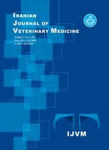 Protective Effect of Camel Milk on Gentamicin-inducedNephrotoxicity:From Renal Biomarkers to Histopathology Evidence