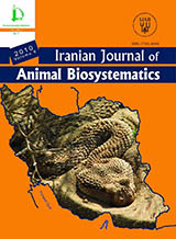 Spermatogenesis timing durability in lizards: Ophisops elegans (Sauria: Lacertidae) in Iran